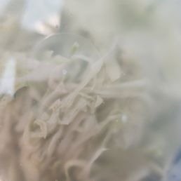 a plastic container filled with broccoli a plastic container filled with broccoli