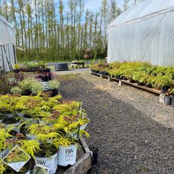 Hillcrest Nursery