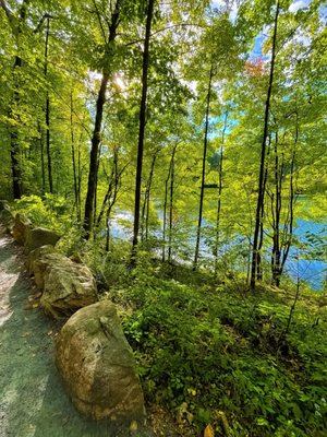 Rockefeller State Park Preserve by null