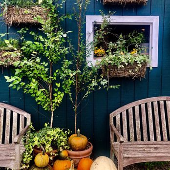 Blooming Hill Farm - Farmers Market Near Me - Monroe, New York