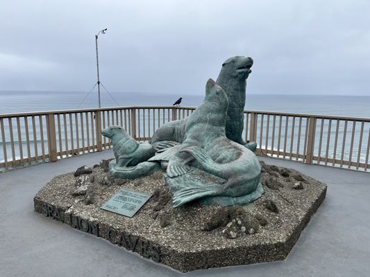 Sea Lion Caves by null