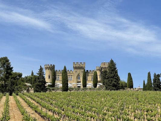 Hostellerie Château des Fines Roches by null