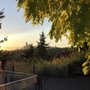 Photo of Mt. Baker Ridge Viewpoint