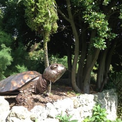 Ventnor Botanic Garden