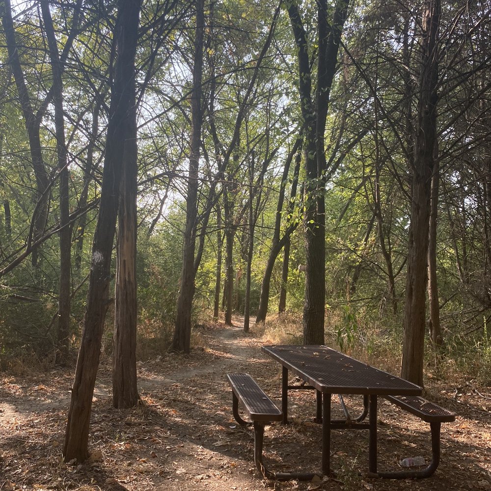 LB Houston Park - nice - Parks Near Me - Dallas, Texas LB Houston Park - nice - Parks Near Me - Dallas, Texas