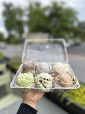 Sarah’s Handmade Ice Cream Wildwood by null