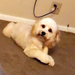 What she normally looks like.