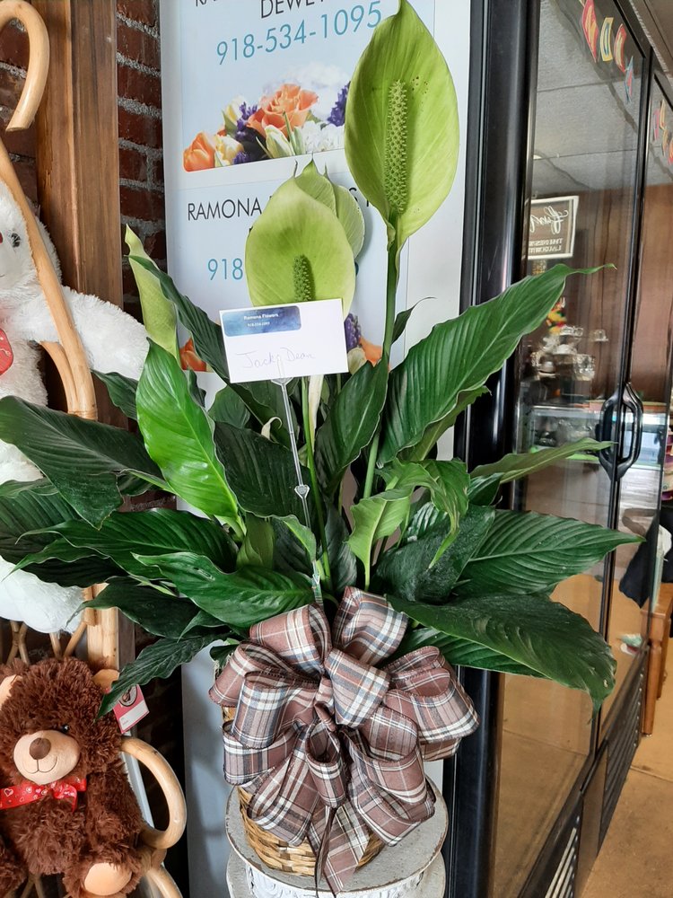 RAMONA FLOWERS IN DEWEY Updated September 2024 28 Photos 413 E
