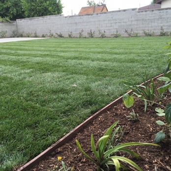 DW Landscape - Tree Services Near Me - Upland, California
