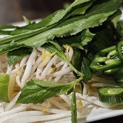 Pho Sydney