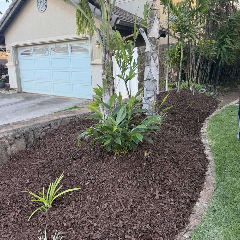 Shaka Yards - New plants - Lawn Services Near Me Shaka Yards - New plants - Lawn Services Near Me