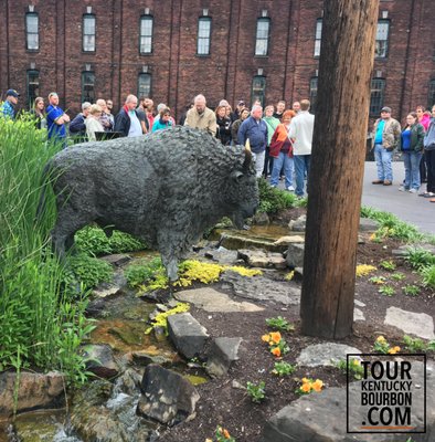 Kentucky Bourbon Tours by null