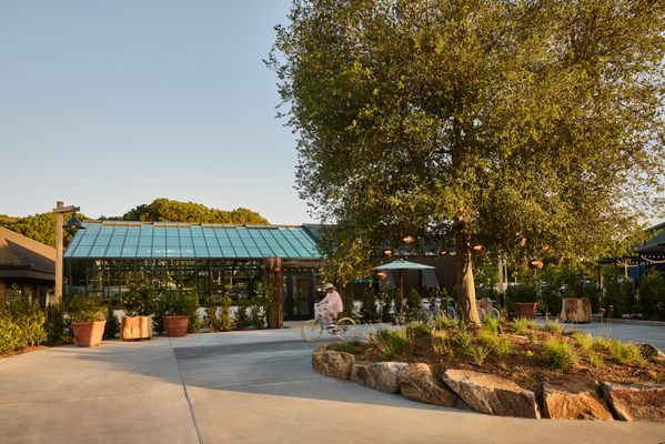 Treehouse Hotel Silicon Valley by null