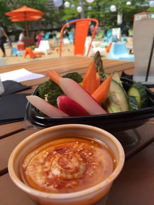 The Fountain Detroit by null