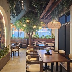 El Don Cocina & Cantina