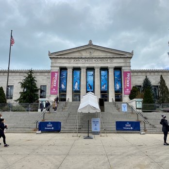 Shedd Aquarium - Entrance - Aquariums Near Me - Chicago, Illinois Shedd Aquarium - Entrance - Aquariums Near Me - Chicago, Illinois