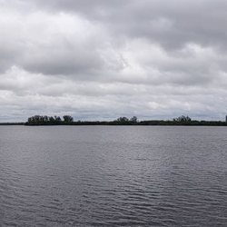 Royal Palm Park