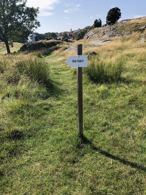 Skulptur i Pilane by null