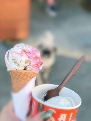 Salt & Straw by null