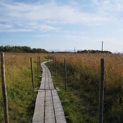 Vanhankaupunginlahden luonnonsuojelualue