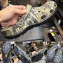 Able Boot & Shoe Repair and Sales