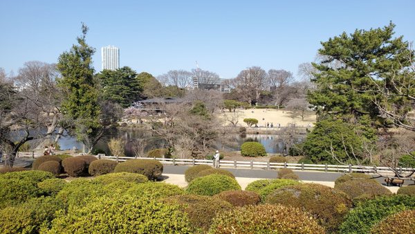 Shinjuku Gyoen National Garden by null