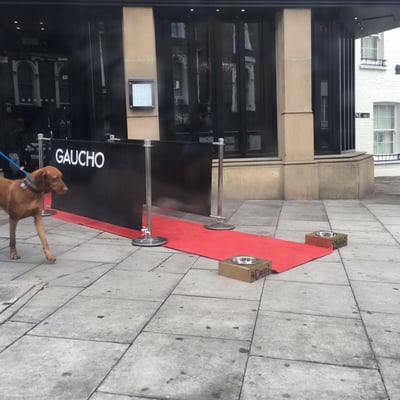 Gaucho Hampstead by null