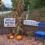 Photo of Sunnywoods Campgrounds