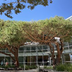 Monterey County Assessor Office - Entrance