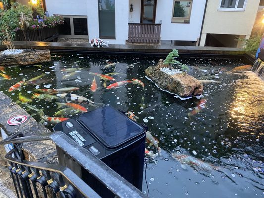 ZUR WEINSTEIGE - Hotel • Schlösschen • Gourmetrestaurant by null