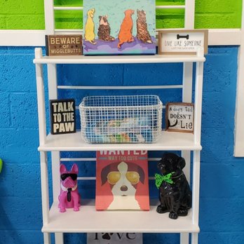 Hounds Town - Pet Boarding Near Me - Garden City, New York