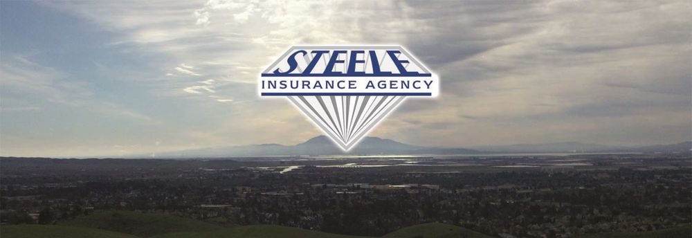 Troy Tapparo Steele Insurance Agency