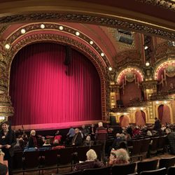 Cutler Majestic Theatre - Gorgeous orchestra section!