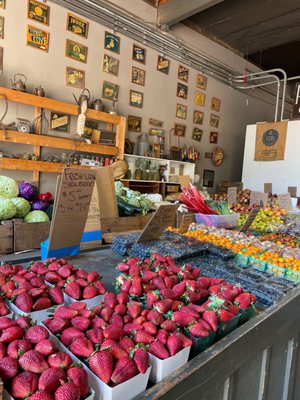 The Fruit Stand by null