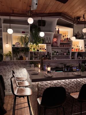 Conejo Negro by null