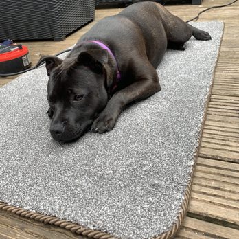 A C Flooring - Carpeting Near Me - Barry, VGL