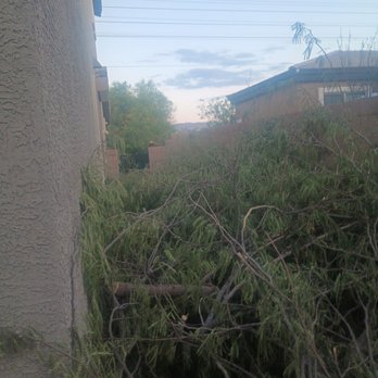 Quality Roots - Never finished the job cashed 2000 check and took off never came back and started arguing with me - Tree Services Near Me - Las Vegas, Nevada Quality Roots - Never finished the job cashed 2000 check and took off never came back and started arguing with me - Tree Services Near Me - Las Vegas, Nevada