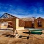 Willow Homes By Design