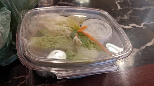 Photo of Nasai Teriyaki at UW - Seattle, WA, US. Side Salad