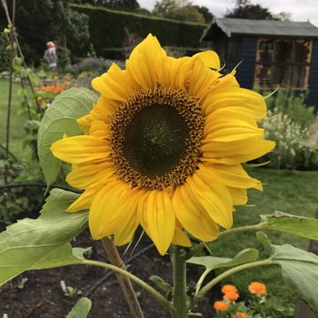Royal Botanic Garden Edinburgh - Botanical Gardens Near Me - Edinburgh, EDH