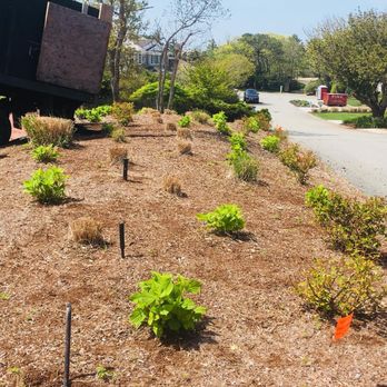 Alvarado Lansdcaping - Landscaping Near Me - Hyannis, Massachusetts Alvarado Lansdcaping - Landscaping Near Me - Hyannis, Massachusetts