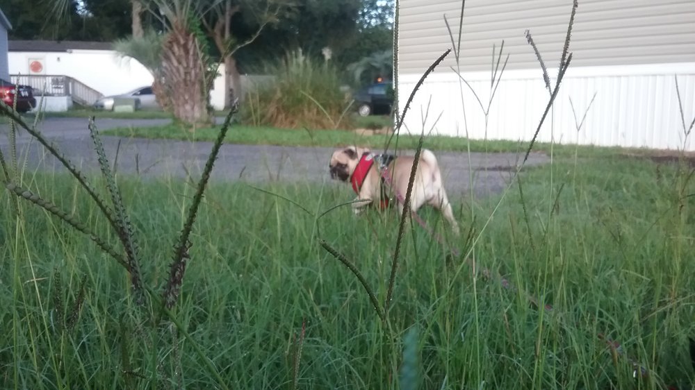 KEY LARGO MOBILE HOME PARK Updated September 2024 Murrells Inlet