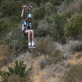 Catalina Eco Zip Line Tours - Tours Near Me - Avalon, California Catalina Eco Zip Line Tours - Tours Near Me - Avalon, California