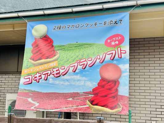 Hitachi Seaside Park by null