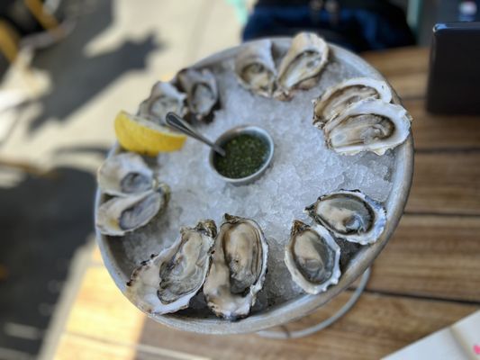 Hog Island Larkspur by null
