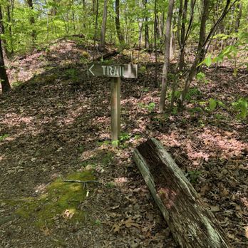 Stillhouse Hollow Falls Trail - OK...let's begin - Hiking Near Me - Mount Pleasant, Tennessee Stillhouse Hollow Falls Trail - OK...let's begin - Hiking Near Me - Mount Pleasant, Tennessee