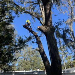 Green Leaf Tree Specialists
