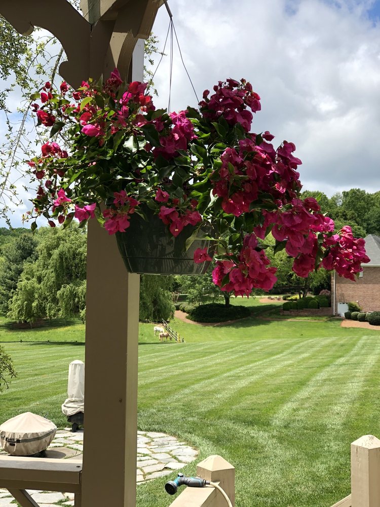 CORUM GREENHOUSES & FLORIST Updated March 2024 532 Holyoke Rd