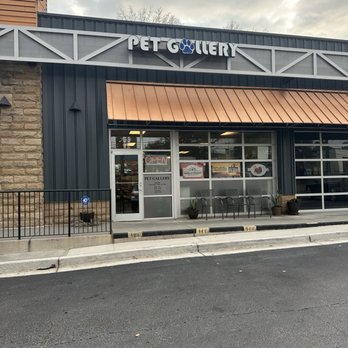 Pet Gallery - Entrance - Pet Groomers Near Me - Atlanta, Georgia
