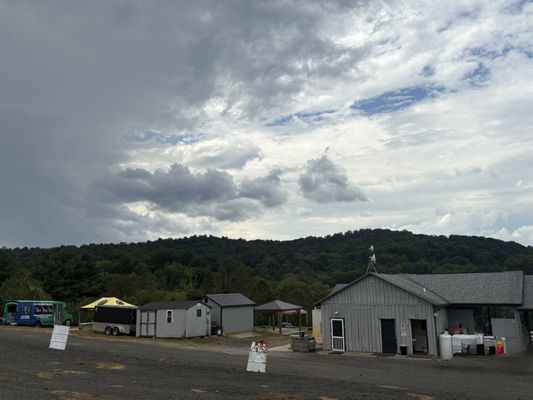 Stribling Orchard by null